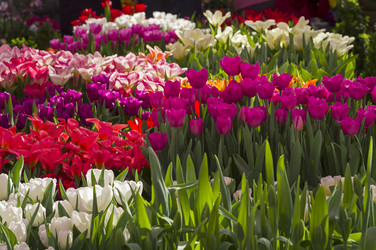 Similar image 21179817