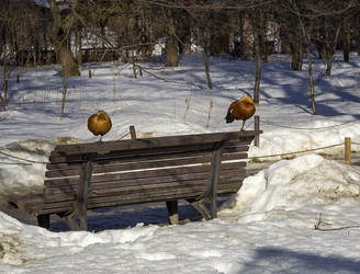 Similar image 21179818