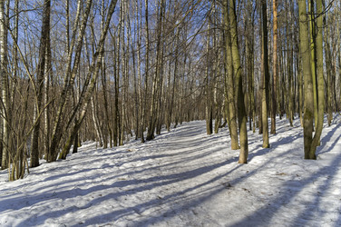 Similar image 21179819