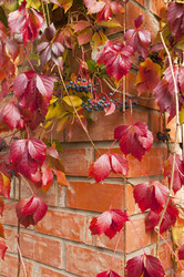 Similar image 21179821