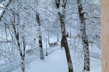 Similar image 21179822