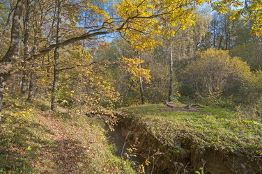 Similar image 21179823