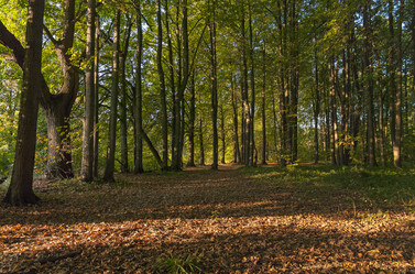 Similar image 21179825