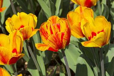 Similar image 21179827