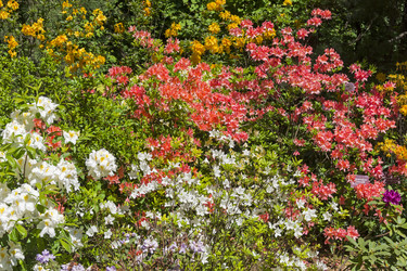 Similar image 21179828