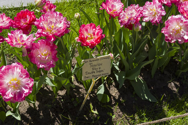 Similar image 21179829