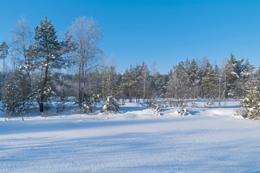 Similar image 21179830