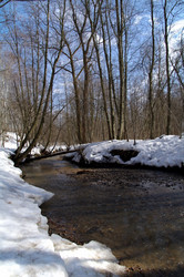 Similar image 21179834