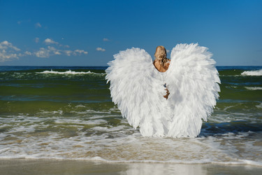 Similar image 21188004