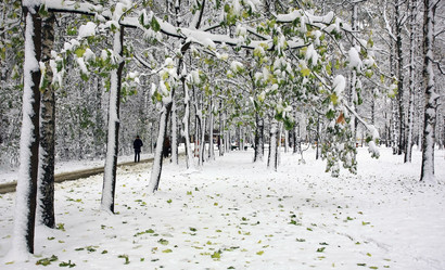 Similar image 21180280