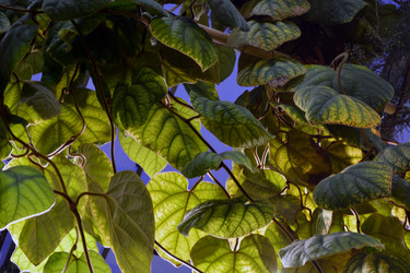 Similar image 21180687