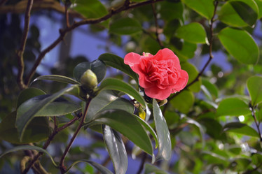 Similar image 21180688