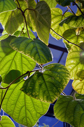 Similar image 21180689