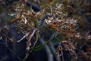 Similar image 21180692