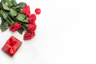 Similar image 21202071