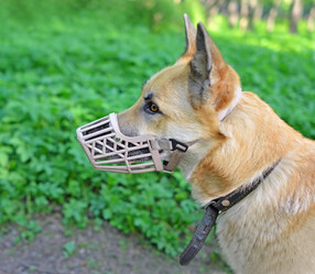 Similar image 21183323