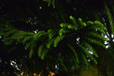 Similar image 21180666