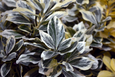 Similar image 21180694