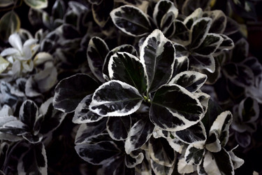 Similar image 21180695