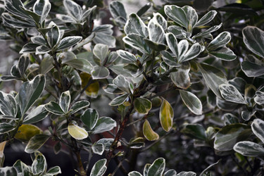 Similar image 21180696