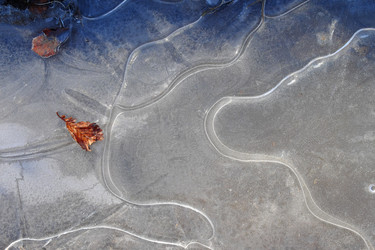 Similar image 21181357