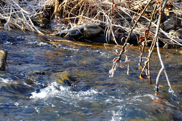 Similar image 21181361