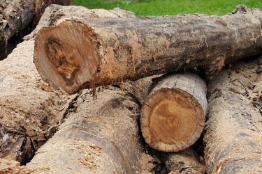 Similar image 21181366