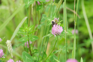 Similar image 21181369