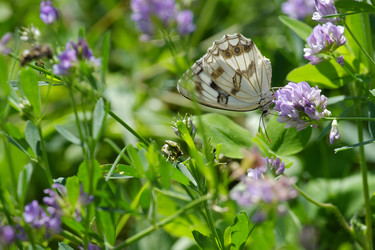 Similar image 21181374