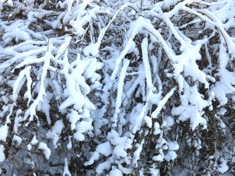 Similar image 21189319