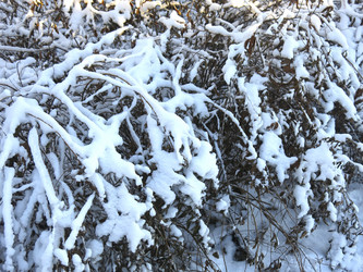 Similar image 21189320