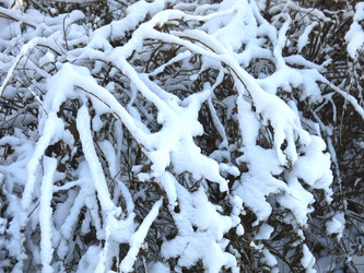 Similar image 21189321