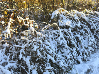 Similar image 21189322