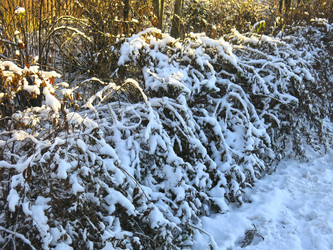 Similar image 21189323