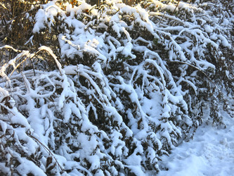 Similar image 21189324