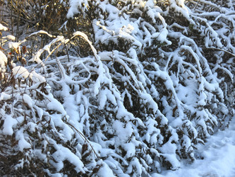 Similar image 21189325