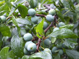 Similar image 21189326