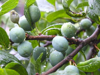 Similar image 21189328