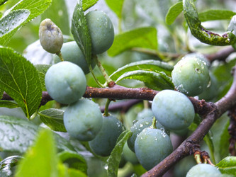 Similar image 21189329