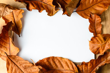 Similar image 21181388