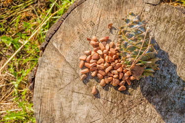 Similar image 21181410