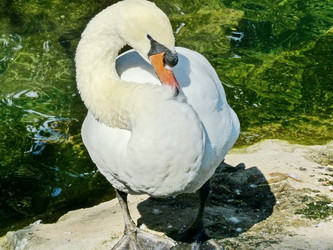 Similar image 21181234