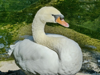 Similar image 21181235