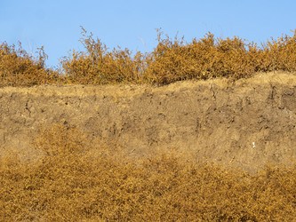 Similar image 21181456