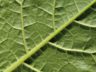 Similar image 21181464