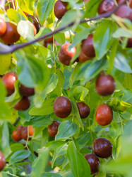 Similar image 21181465