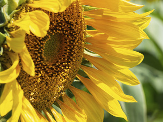 Similar image 21181470