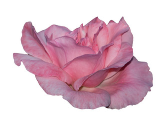 Similar image 21181471