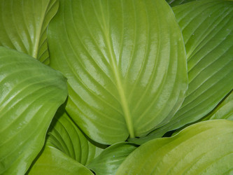 Similar image 21181472