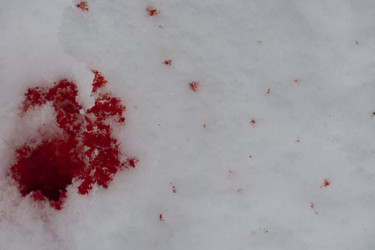 Similar image 21181477